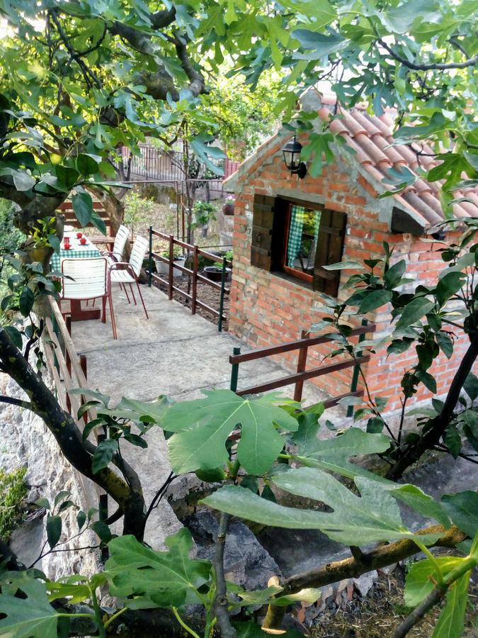 Apartment Lidija Herceg Novi Exterior photo